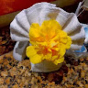 Meet your Posher, Esther